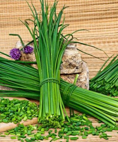 Feines Schnittlauch von Bakker auf blumen.de