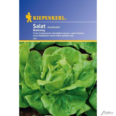 Salat 