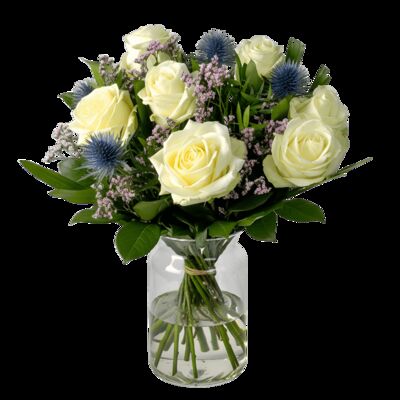 Sanfte Harmonie von Blume Ideal auf blumen.de