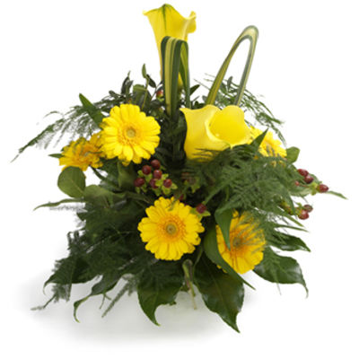 Sao Paolo von EuroFlorist auf blumen.de