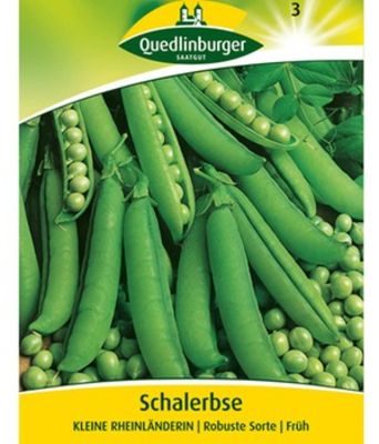 Schalerbse ´Kleine Rheinländerin´ von BALDUR-Garten auf blumen.de