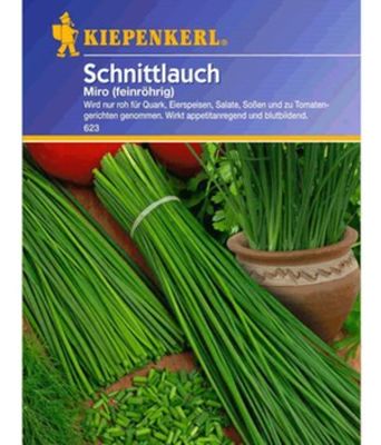 Schnittlauch ´Miro´ von BALDUR-Garten auf blumen.de
