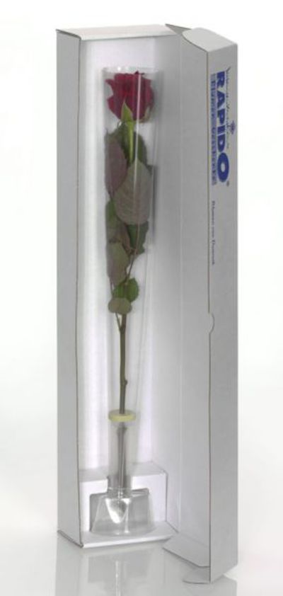 Singlerose rot von Flowers-deluxe auf blumen.de