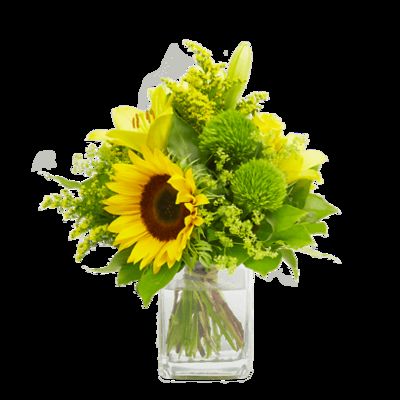 Sonnenaufgang von Fleurop auf blumen.de