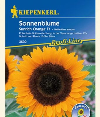 Sonnenblume ´Sunrich Orange´  von BALDUR-Garten auf blumen.de