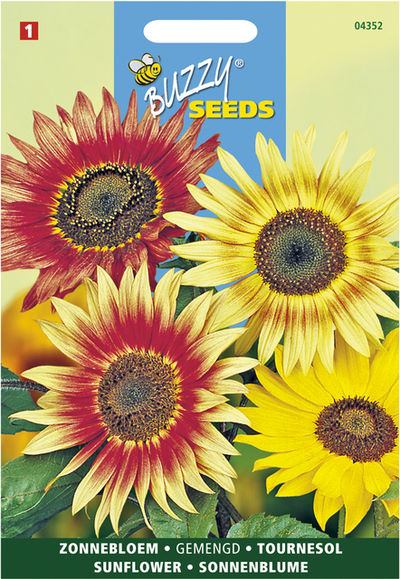 Sonnenblumen gemischt von Gartencenter Koeman auf blumen.de