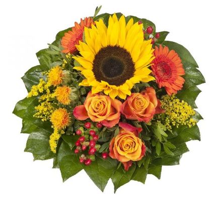 Sonnenlicht von Flowers-deluxe auf blumen.de