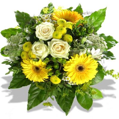 Sonnenschein von Florito FlowerPost auf blumen.de