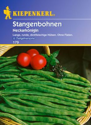 Stangenbohne 'Neckarkönigin'  von Gartengruen-24 auf blumen.de