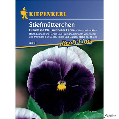 Stiefmütterchen ´´Grandessa - Blau mit heller Fahne´´ von Garten Schlüter auf blumen.de