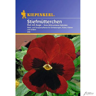 Stiefmütterchen ´Rot mit Auge´ von Garten Schlüter auf blumen.de