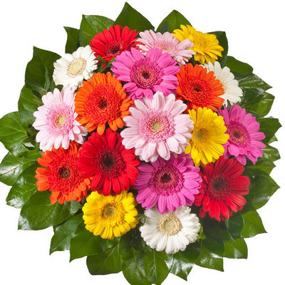 Strauß Blütentraum von FloraPrima auf blumen.de