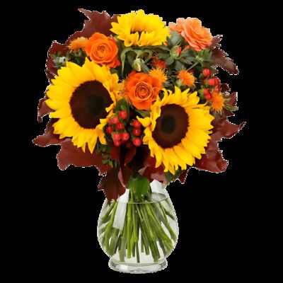 Herbstgruß von Blume Ideal auf blumen.de