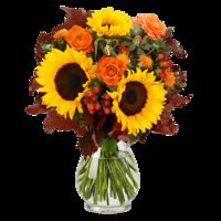 Herbstgruß von Blume Ideal auf blumen.de