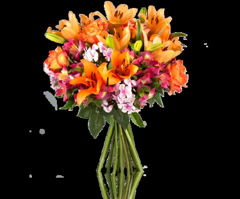 Strauß in warmen Farbtönen von MIFLORA auf blumen.de