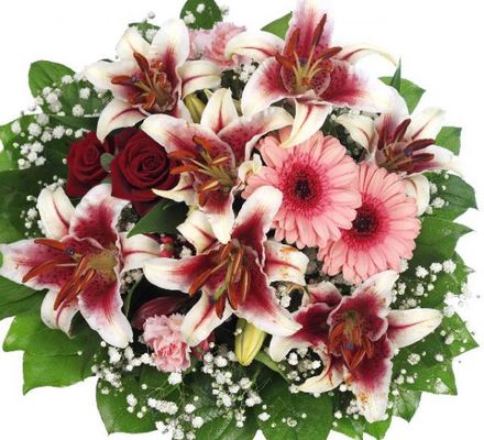 Strauß Stargazer von Flowers-deluxe auf blumen.de