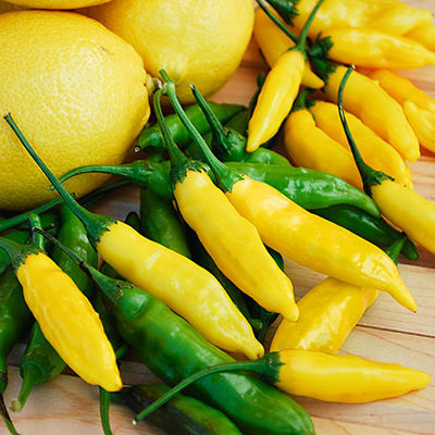 Südamerikanische Chilisamen Lemon Drop von Gärtner Pötschke auf blumen.de