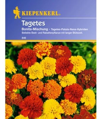 Tagetes ´Bonita Mischung´ von BALDUR-Garten auf blumen.de