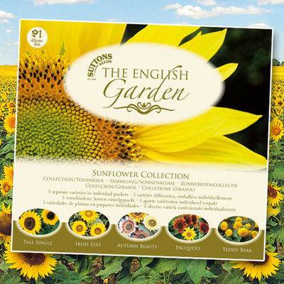The English Garden Sonnenblumen Kollektion von Gärtner Pötschke auf blumen.de