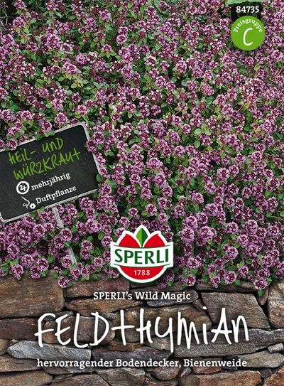 Feldthymian Sperli´s Wild Magic von TOM-GARTEN auf blumen.de