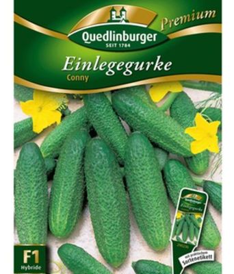 Traubengurke ´Conny´F1 von BALDUR-Garten auf blumen.de