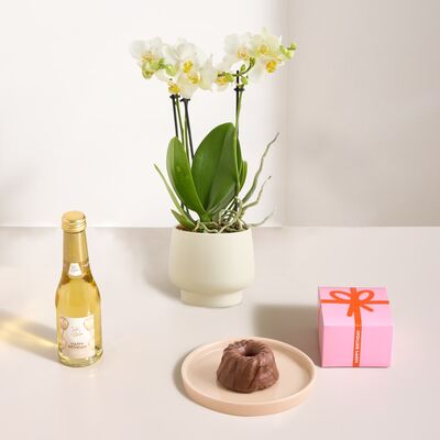 Traumhafter Geburtstag von Blume2000.de auf blumen.de