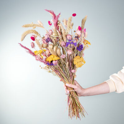 Trockenblumen Color Bomb von Blume2000.de auf blumen.de