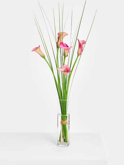 Tropenrausch von Fleurop auf blumen.de