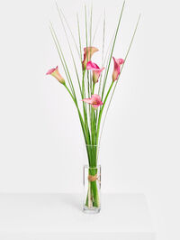 Tropenrausch von Fleurop auf blumen.de