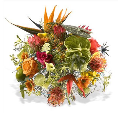 Tropical Dream von Fleurop auf blumen.de