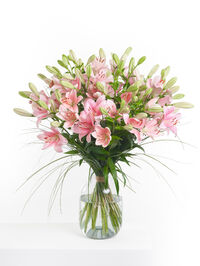 Tropical Island von Fleurop auf blumen.de