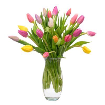 Tulpen im Bund von FloraPrima auf blumen.de