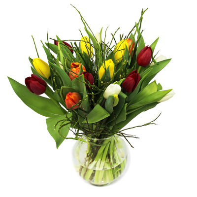 Tulpenspecial Capri von Blume Ideal auf blumen.de