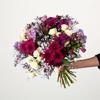 Violet Harmony von Blume2000.de auf blumen.de