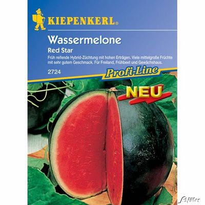 Wassermelone ´Red Star´ von Garten Schlüter auf blumen.de