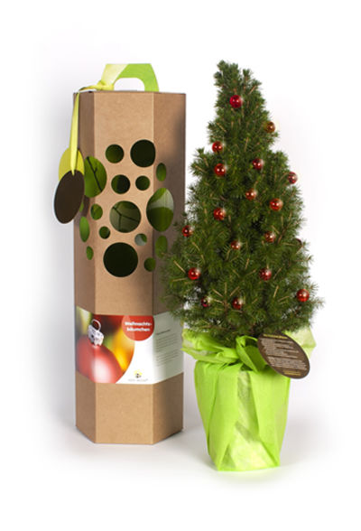 Weihnachtsbäumchen  von SchenkeinBäumchen auf blumen.de