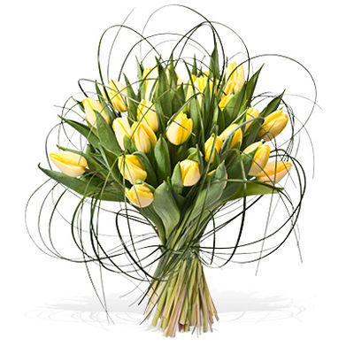 Weil du etwas Besonderes bist von Fleurop auf blumen.de