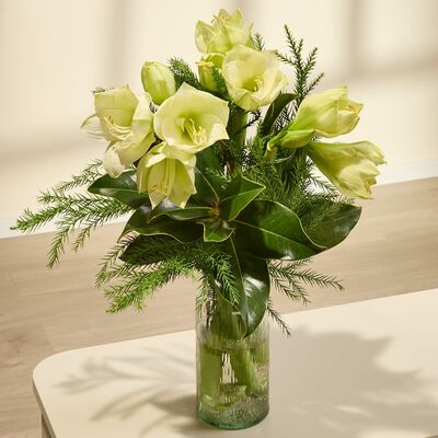 Weiße Amaryllis von Blume2000.de auf blumen.de