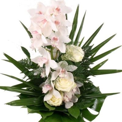 Weiße Orchideen-Rispe  von Blumenfee auf blumen.de