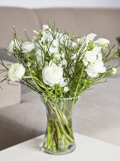 Weiße Ranunkeln von Bunchmakers auf blumen.de