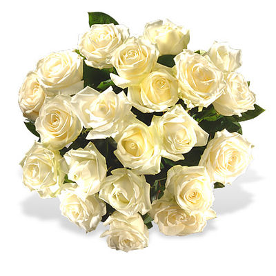 Weiße Rosen  von Fleurop auf blumen.de