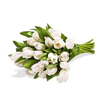 Weiße Tulpen pur von Fleurop auf blumen.de