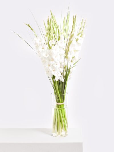White Summer von Fleurop auf blumen.de