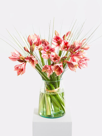 Winterfreuden von Fleurop auf blumen.de