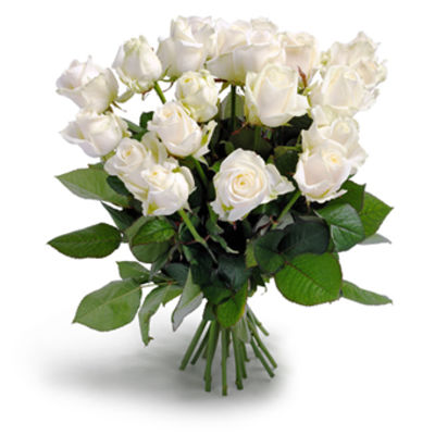 Wunderbare weiße Rosen von EuroFlorist auf blumen.de