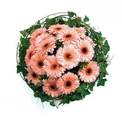 Zarte Gerbera von Flowers-deluxe auf blumen.de