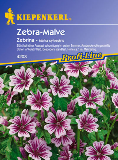 Zebramalve `Zebrina` (Malva sylvestris) von Pflanzenwelt Biermann auf blumen.de