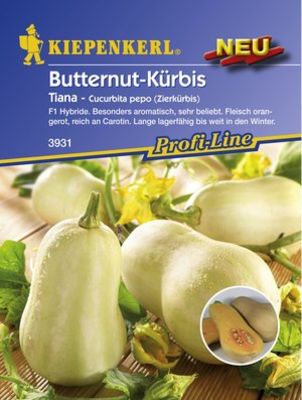 Kiepenkerl Butternut-Zierkürbis 