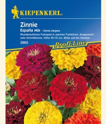 Zinnie ´Espana Mix´ von BALDUR-Garten auf blumen.de