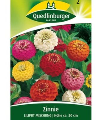 Zinnie ´Lilliput´ von BALDUR-Garten auf blumen.de